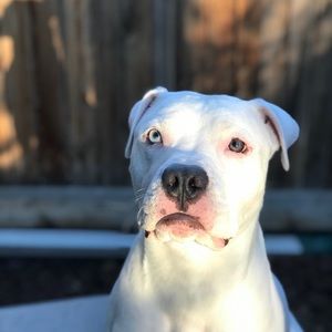 Meet your Posher, Summer